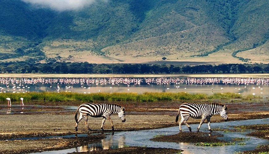 Corporate Travel Services | Top Holidays