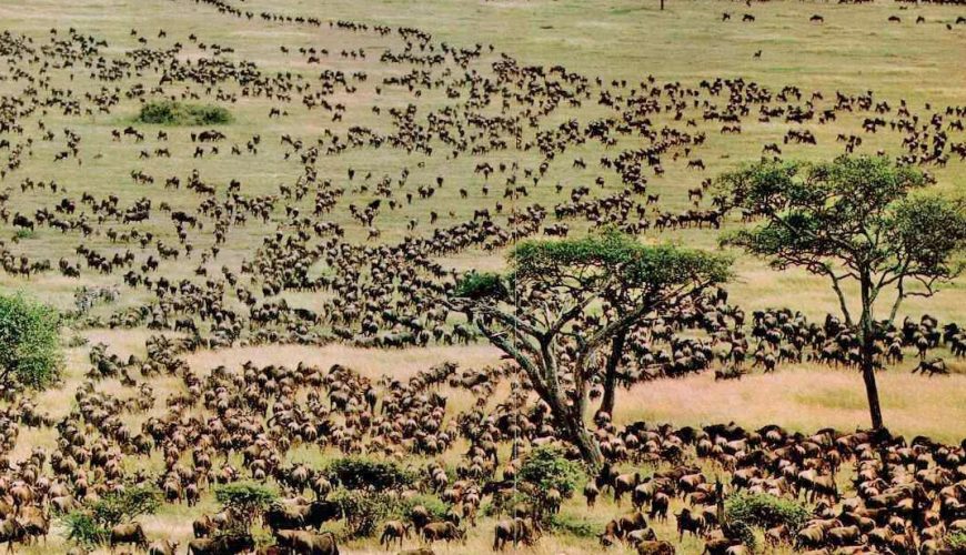 Corporate Travel Services | Top Holidays