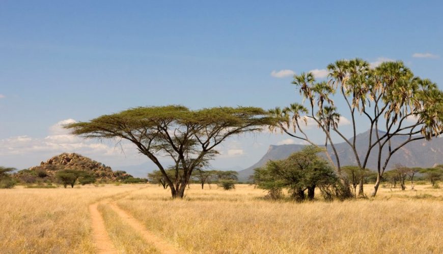 Corporate Travel Services | Top Holidays