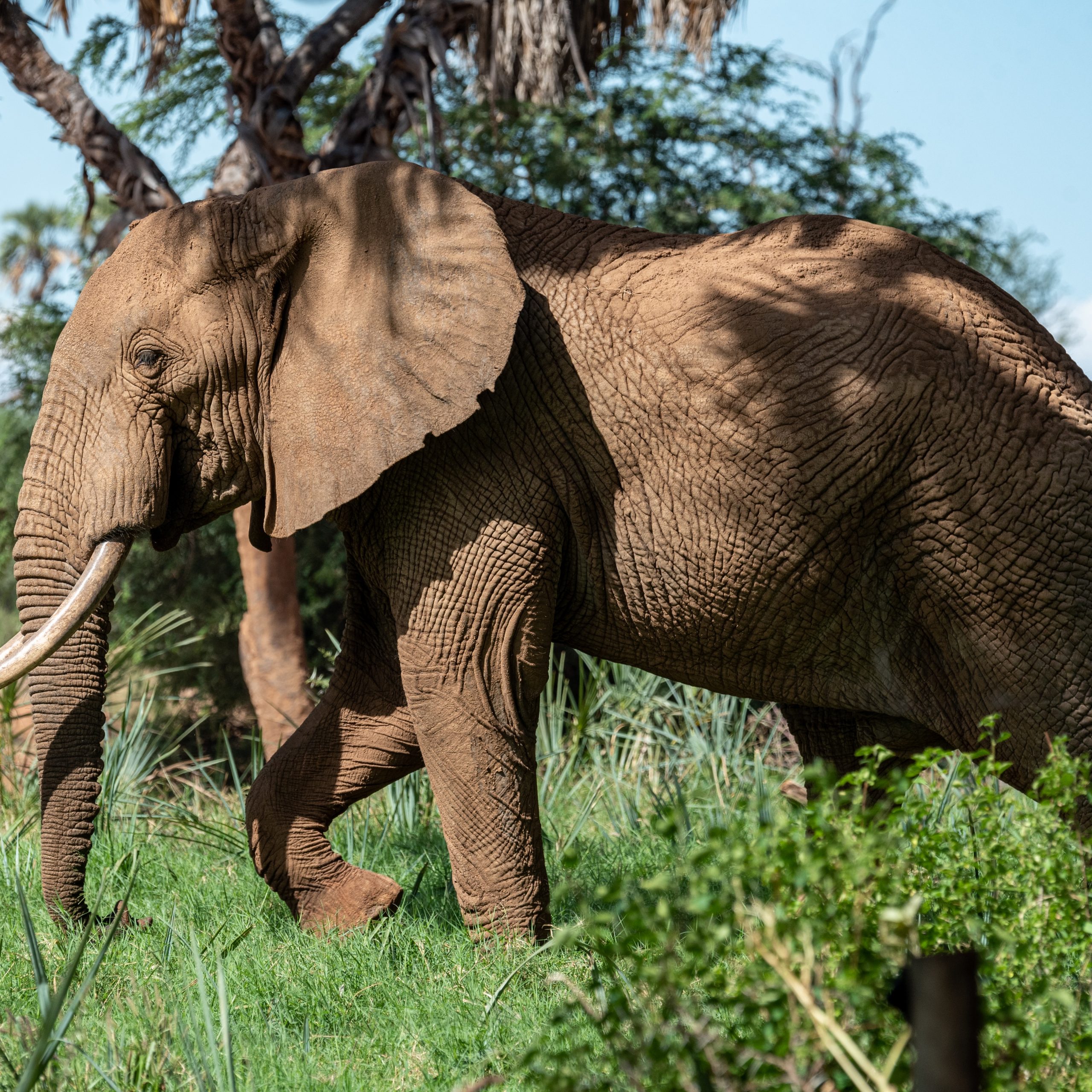 Day 3: TSAVO