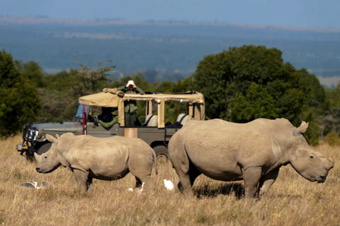 DAY 2 - NANYUKI - GAME DRIVES OL PEJETA CONSERVANCY